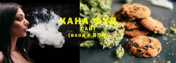 дживик Козельск