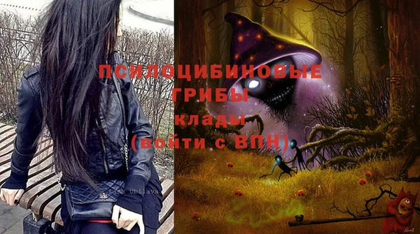 дживик Козельск