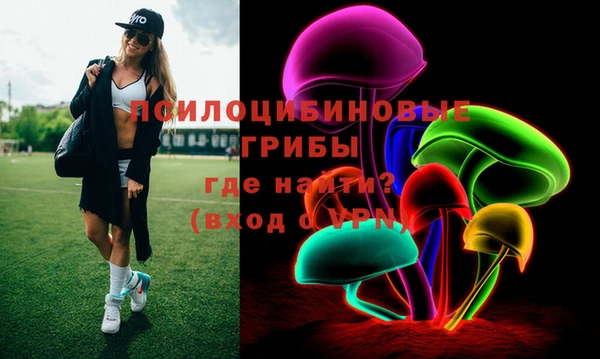 дживик Козельск