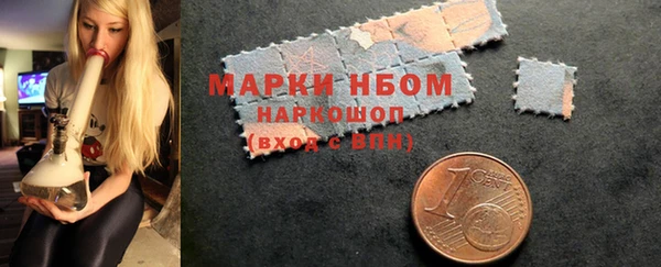 дживик Козельск